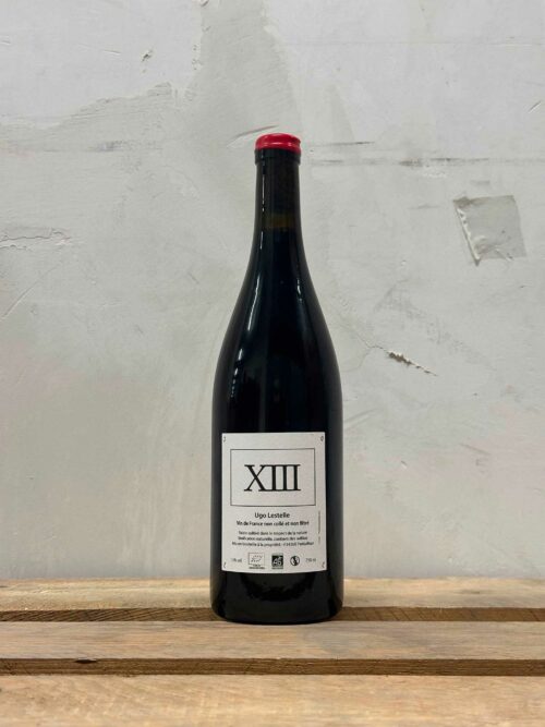 XIII 2022
